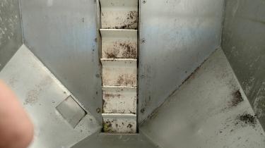 Hoppman stainless steel incline conveyor